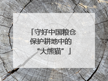 守好中国粮仓 保护耕地中的“大熊猫”