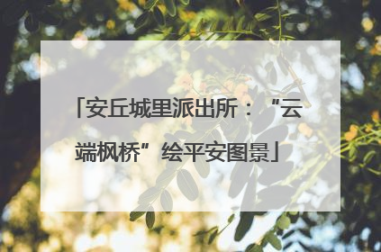 安丘城里派出所：“云端枫桥”绘平安图景