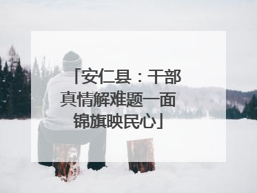 安仁县：干部真情解难题一面锦旗映民心