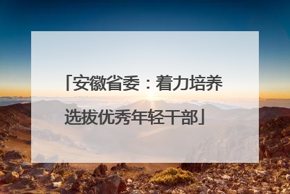 安徽省委：着力培养选拔优秀年轻干部