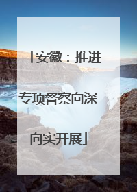 安徽：推进专项督察向深向实开展