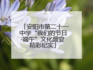 安阳市第二十一中学“我们的节日·端午”文化盛宴精彩纪实