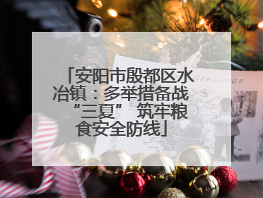 安阳市殷都区水冶镇：多举措备战“三夏” 筑牢粮食安全防线