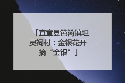 宜章县笆篱镇坦灵祠村：金银花开摘“金银”