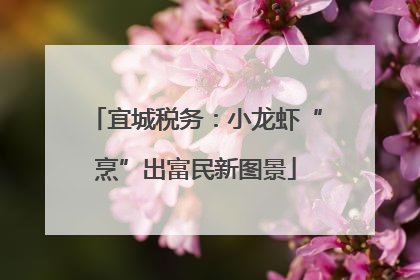 宜城税务：小龙虾“烹”出富民新图景