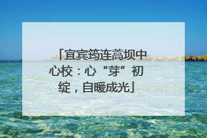 宜宾筠连蒿坝中心校：心“芽”初绽，自暖成光
