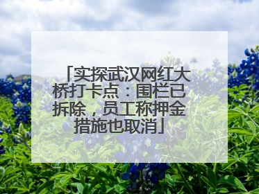 实探武汉网红大桥打卡点：围栏已拆除，员工称押金措施也取消