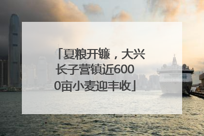 夏粮开镰，大兴长子营镇近6000亩小麦迎丰收