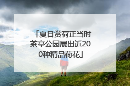 夏日赏荷正当时 茶亭公园展出近200种精品荷花