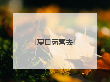 夏日露营去