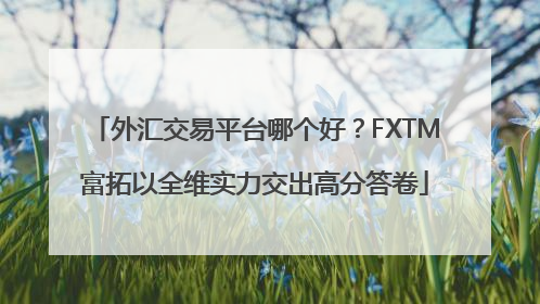 外汇交易平台哪个好？FXTM富拓以全维实力交出高分答卷
