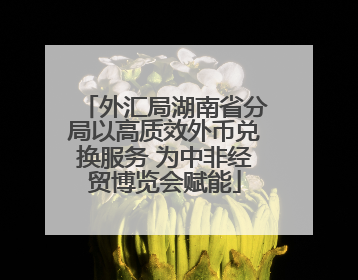 外汇局湖南省分局以高质效外币兑换服务 为中非经贸博览会赋能
