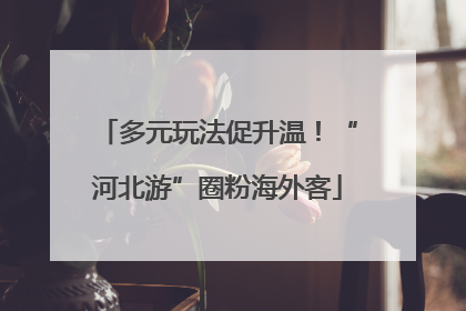 多元玩法促升温！“河北游”圈粉海外客