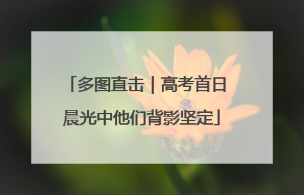 多图直击｜高考首日 晨光中他们背影坚定