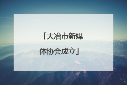 大冶市新媒体协会成立