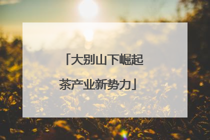 大别山下崛起茶产业新势力
