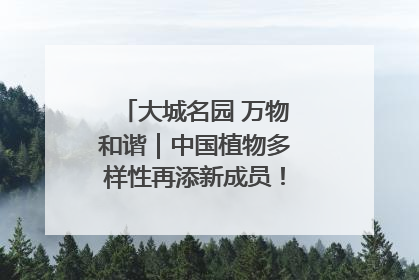 大城名园 万物和谐｜中国植物多样性再添新成员！它只在西藏墨脱