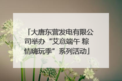 大唐东营发电有限公司举办“艾意端午 粽情嗨玩季”系列活动