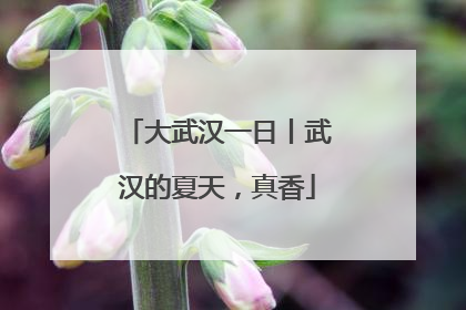 大武汉一日丨武汉的夏天，真香