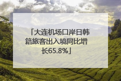 大连机场口岸日韩籍旅客出入境同比增长65.8%