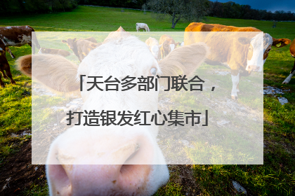 天台多部门联合，打造银发红心集市