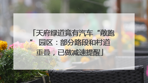 天府绿道竟有汽车“敞跑” 园区：部分路段和村道重叠，已做减速提醒