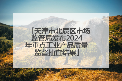 天津市北辰区市场监管局发布2024年重点工业产品质量监督抽查结果