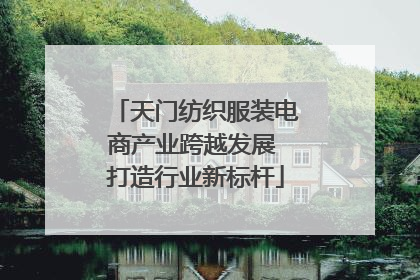 天门纺织服装电商产业跨越发展 打造行业新标杆