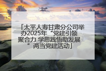 太平人寿甘肃分公司举办2025年“党建引领聚合力 学思践悟助发展”两当党建活动