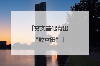 夯实基础育出“致富田”
