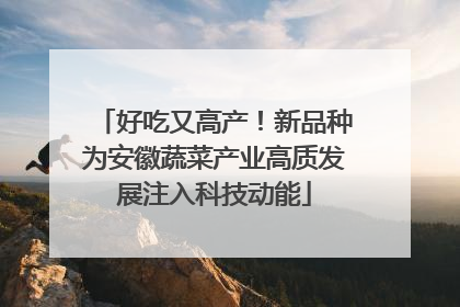 好吃又高产！新品种为安徽蔬菜产业高质发展注入科技动能