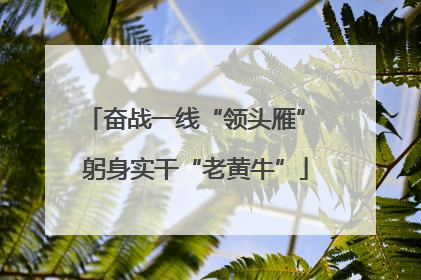 奋战一线“领头雁” 躬身实干“老黄牛”