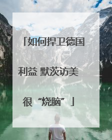 如何捍卫德国利益 默茨访美很“烧脑”