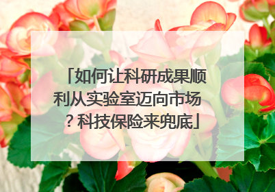如何让科研成果顺利从实验室迈向市场？科技保险来兜底