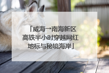 威海→南海新区 高铁半小时穿越网红地标与秘境海岸