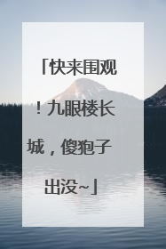 快来围观！九眼楼长城，傻狍子出没~