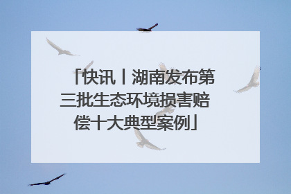 快讯丨湖南发布第三批生态环境损害赔偿十大典型案例