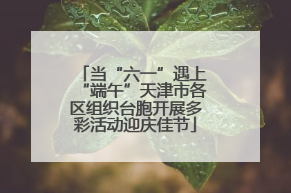 当“六一”遇上“端午”天津市各区组织台胞开展多彩活动迎庆佳节