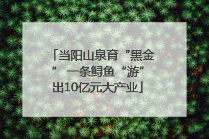 当阳山泉育“黑金” 一条鲟鱼“游”出10亿元大产业