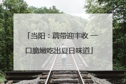 当阳：藕带迎丰收 一口脆嫩吃出夏日味道