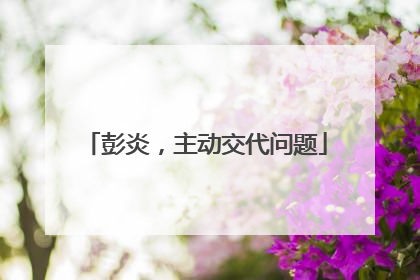 彭炎，主动交代问题