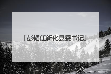 彭韬任新化县委书记