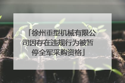 徐州重型机械有限公司因存在违规行为被暂停全军采购资格