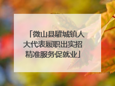 微山县驩城镇人大代表履职出实招精准服务促就业