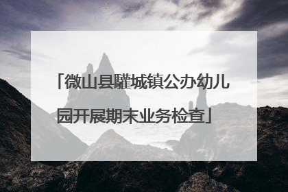 微山县驩城镇公办幼儿园开展期末业务检查