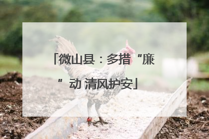 微山县：多措“廉”动 清风护安
