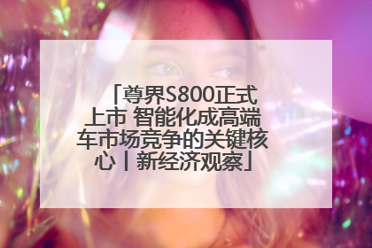 尊界S800正式上市 智能化成高端车市场竞争的关键核心丨新经济观察
