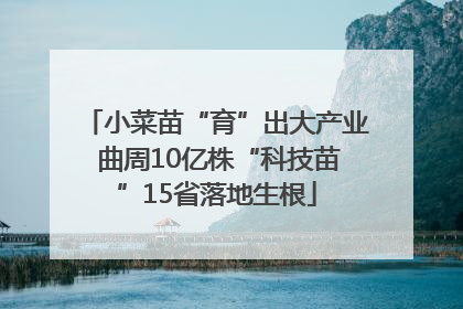 小菜苗“育”出大产业 曲周10亿株“科技苗”15省落地生根