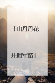 山丹丹花开拥军路