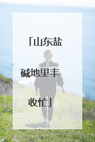 山东盐碱地里丰收忙